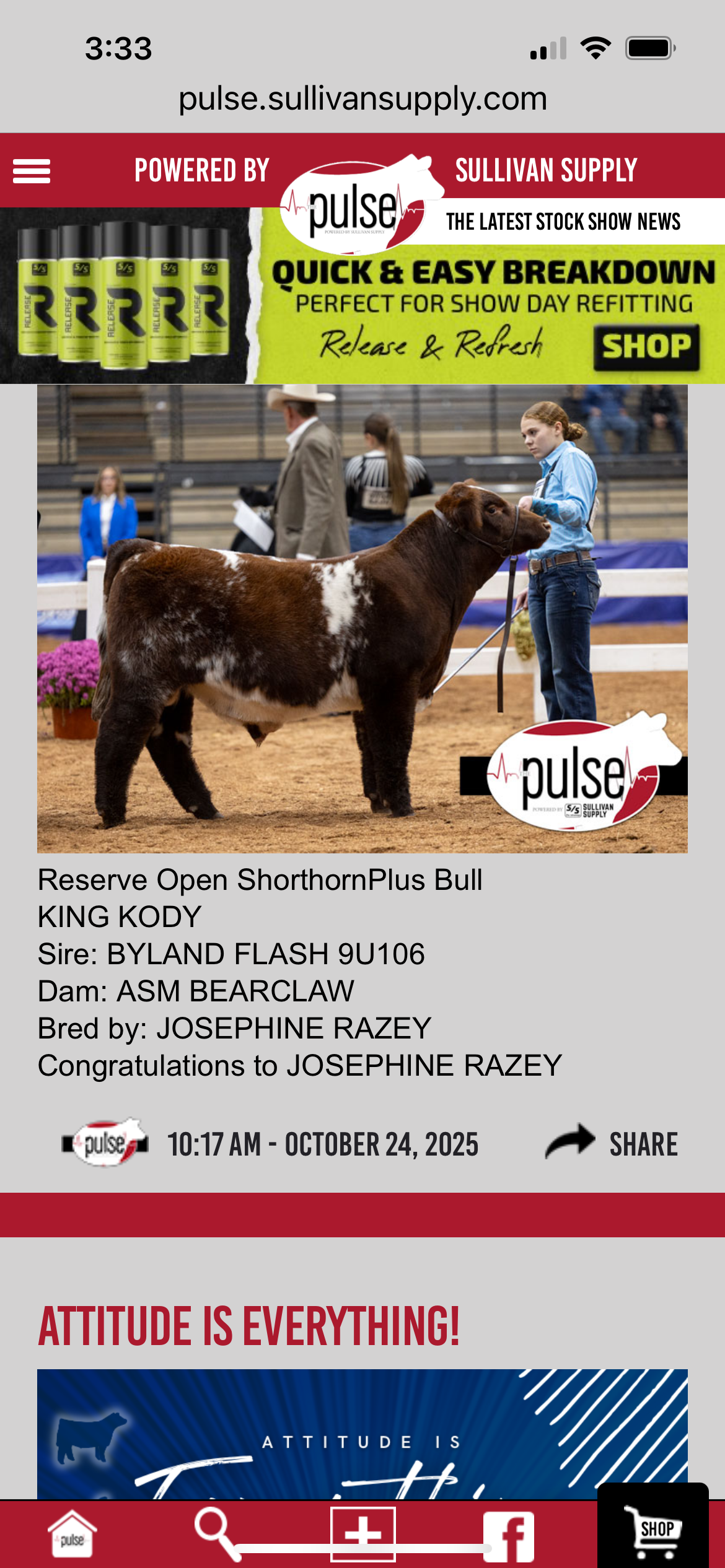 Photo 3 of Shorthorn Plus bull — Augusta , KS