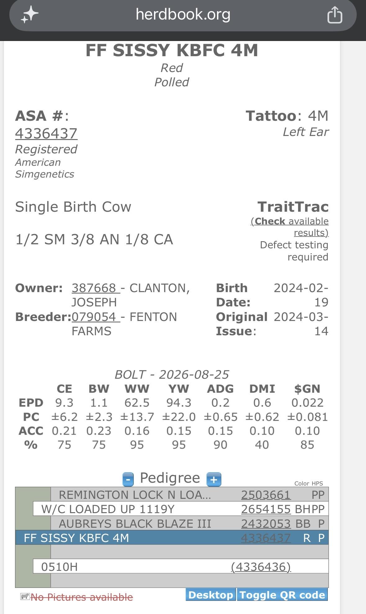 Photo 5 of Crossbred bull — Eufaula, OK